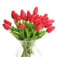 30pcs-simulation-de-fleurs-artificielles-tulipe-n5